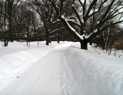 Muddy River path